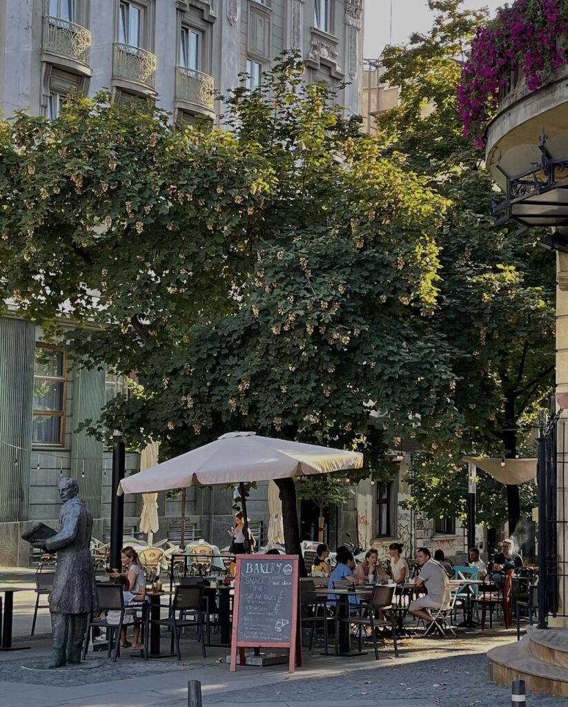 Fotograf: Nikola Milović, Topličin venac