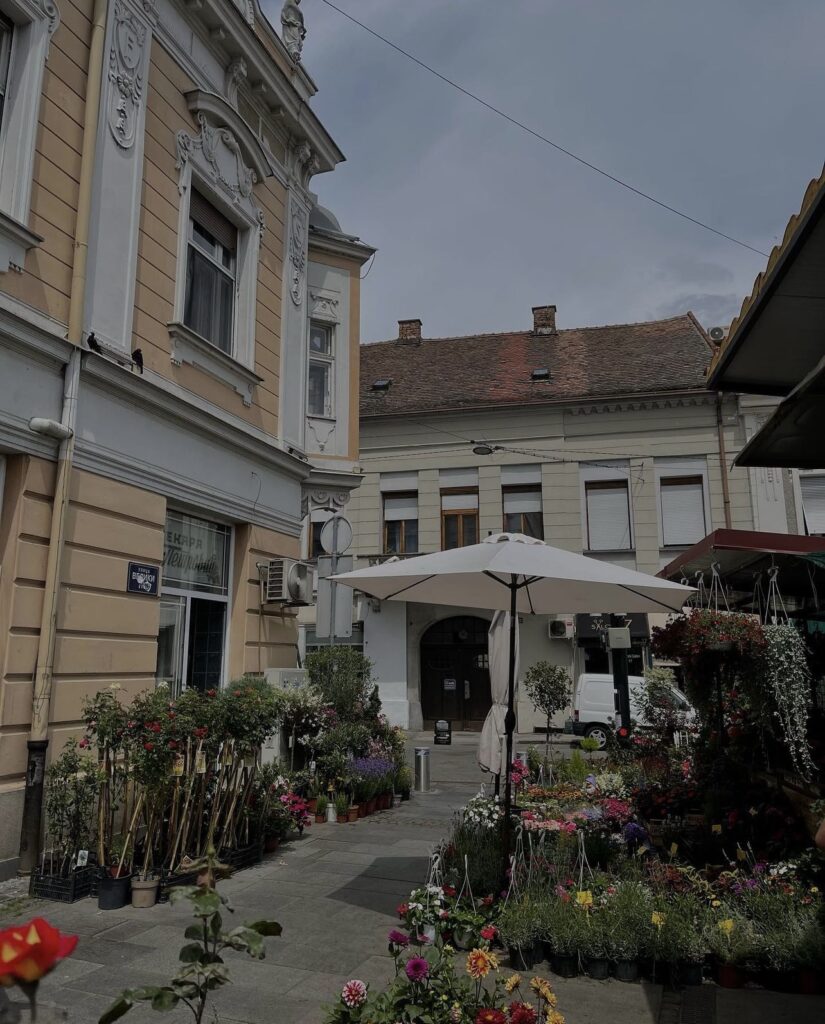 Zemunska pijaca - cveće