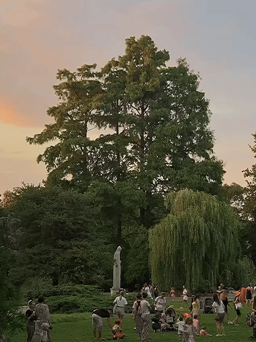 Dunavski park