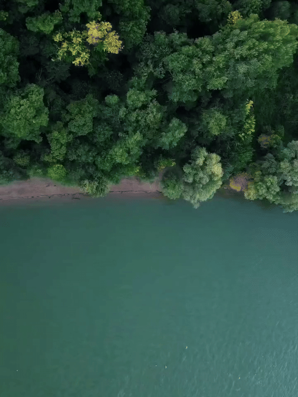 Nađa Popivoda predlaže Kamenički park