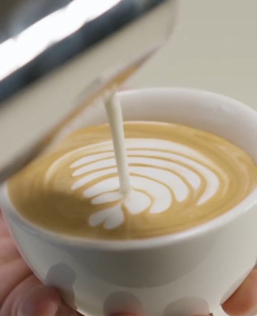 Maja Krstić Locals kafa