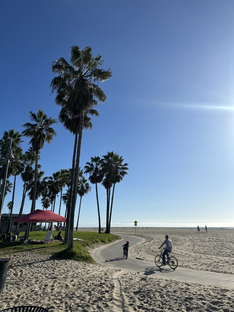 Venice Beach plaža