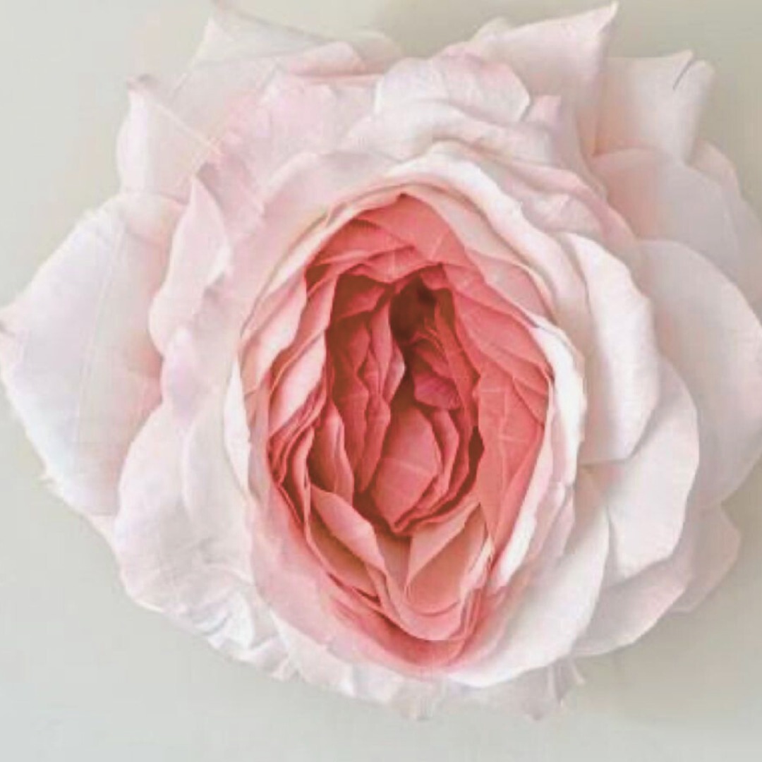 flower power stolica