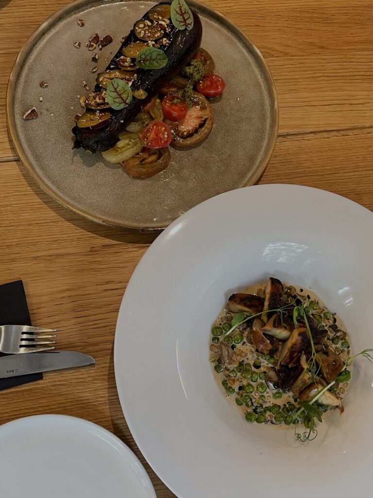 Sofija u jesen sa Nikolom Milovićem