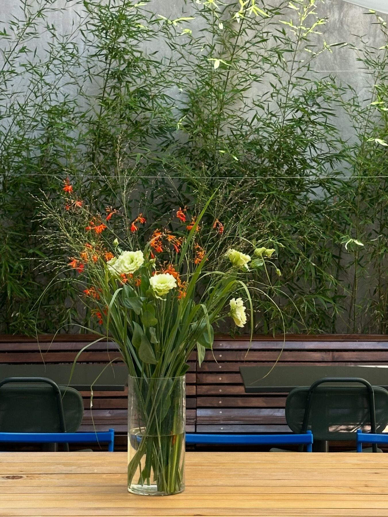 Laptop-friendly kafić: SONDER bašta