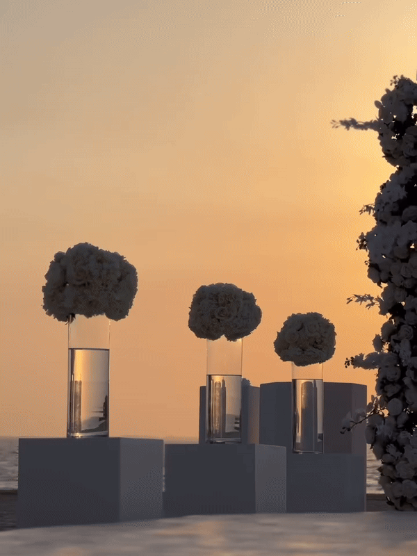 Sanja Obradović predlaže Nikki Beach