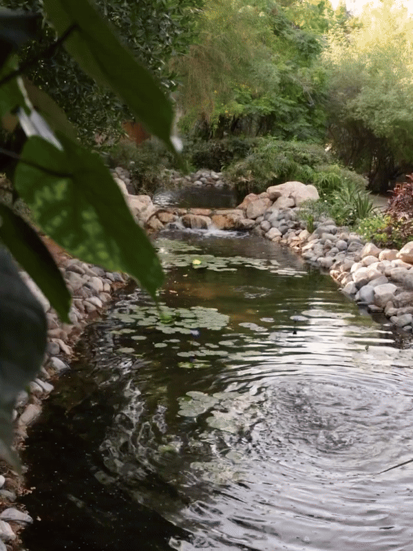 Fontana i hrana u The Farm restoranu