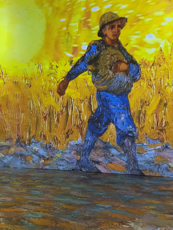 Le Semeur au Soleil Couchant