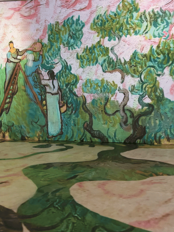 Women Picking Olives (1889) by Vincent Van Gogh