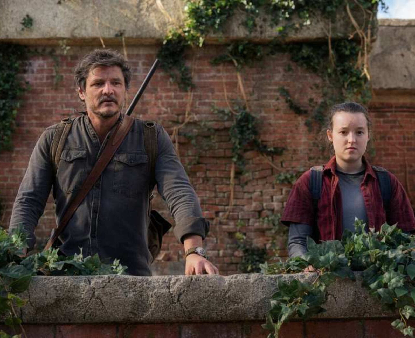 the last of us