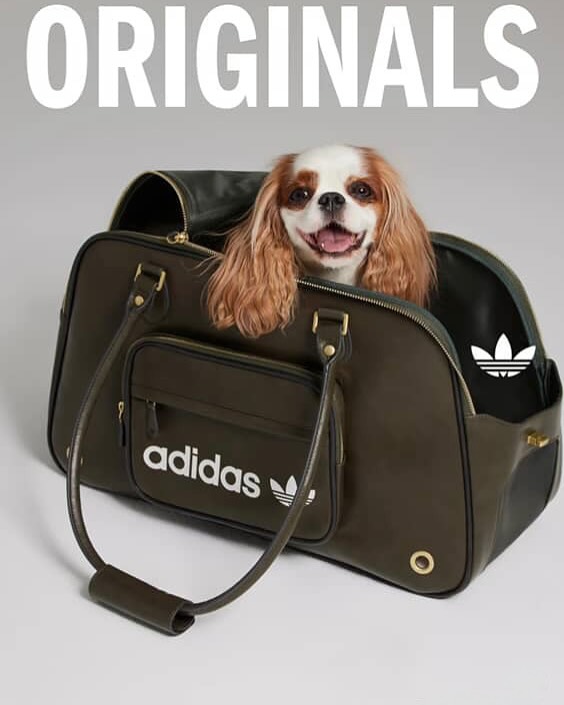 Trefoil Pet Collection: adidas kolekcija za ljubimce